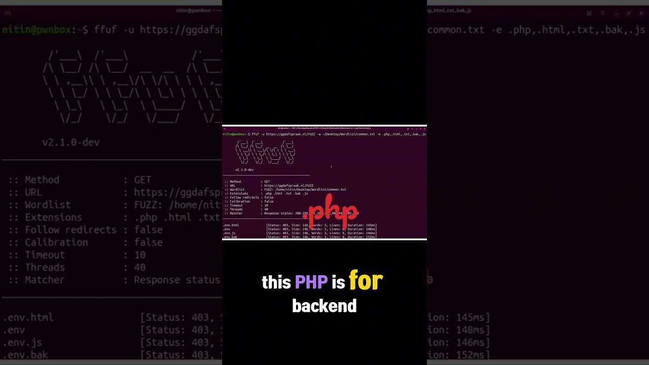 I Found a Goldmine Using FFUF 😳 #shorts