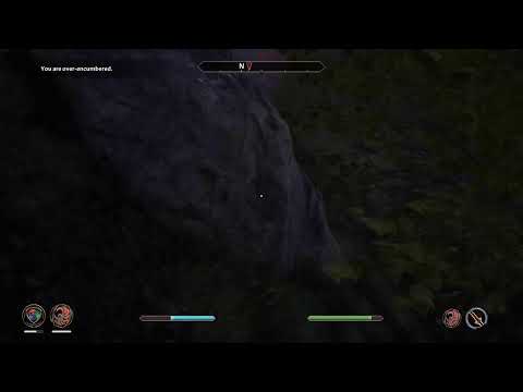 Oblivion Remastered 2025 pt40.3