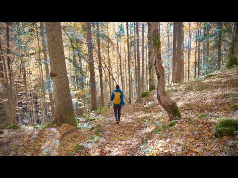 Jura-Höhenweg 8. Etappe: Chasseral - Vue-des-Alpes