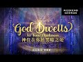 Kong Hee: God Dwells In Your Darkness