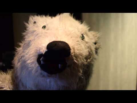 Bipolar Bear Tom of The Maxies sings