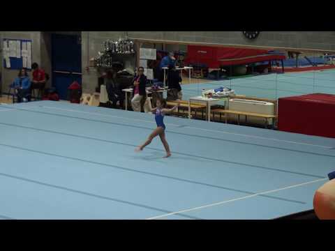 Corpo Libero 3^ Prova Zona Tecnica Campionato Regionale di Squadra Gold Allieve 11/11/2018