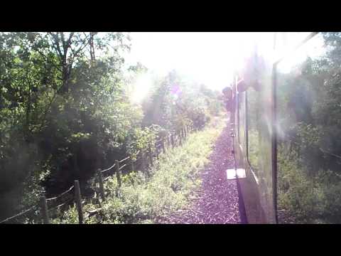 Nene Valley Railway 2011.08.28 17.44 Sophie Monty