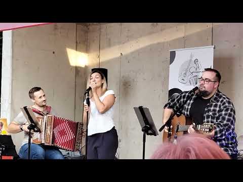 Saitenwind beim Moosbacher Musiksommer 2025