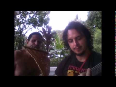 TE MAU HOA FA'AITOITO ,les amis qui requinquent