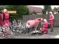 ROZE MAANDAG LUTJEBROEK 2013