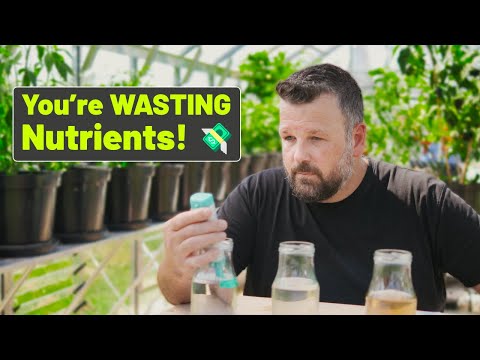 The Secret pH Hack for MASSIVE Chilli Harvests! 🌶️ (Don’t Make This Mistake)