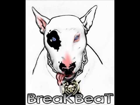 Denzal Park Ft Wizard Sleeve - I'm A Drum Machine (DaKa Breaks Mix)