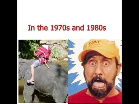 Ray Stevens  The Streak