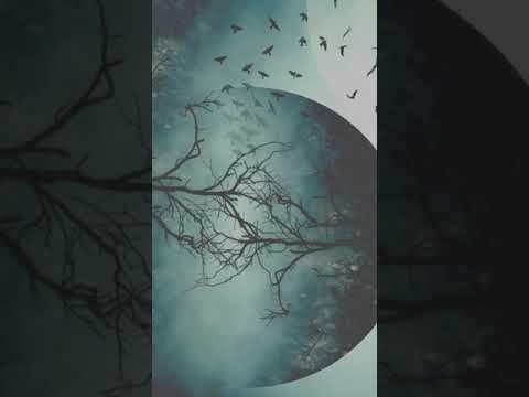 Ang Aswang Sa San Isidro