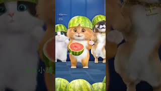 Download lagu Kucing lucu dudidam dudidam #kucing #kucinglucu #kucingimut #meong #fypシ゚viral #fyp mp3