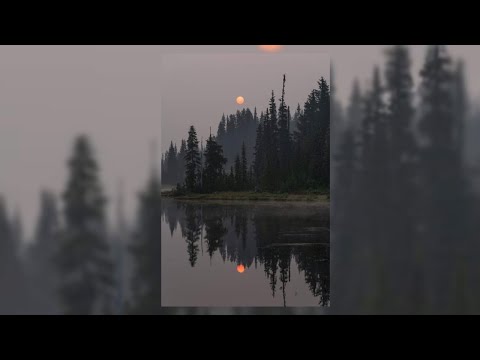 𝑰𝒕𝒕𝒚 𝒃𝒊𝒕𝒕𝒚 𝒑𝒊𝒈𝒈𝒚 𝒙 𝑰'𝒍𝒍 𝒅𝒐 𝒊𝒕! - 𝑵𝒊𝒄𝒌𝒊 𝑴𝒊𝒏𝒂𝒋 (𝑺𝒍𝒐𝒘𝒆𝒅 + 𝒓𝒆𝒗𝒆𝒓𝒃✰) |𝑺𝒍𝒖𝒔𝒉𝒚_𝒙𝒚|