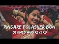 Pindare Polasher Bon| Ankita Bhattacharya| পিন্দারে পলাশের বন| Bengali folk song |LoFi #