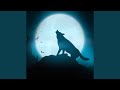Wolf Sounds In Rain
