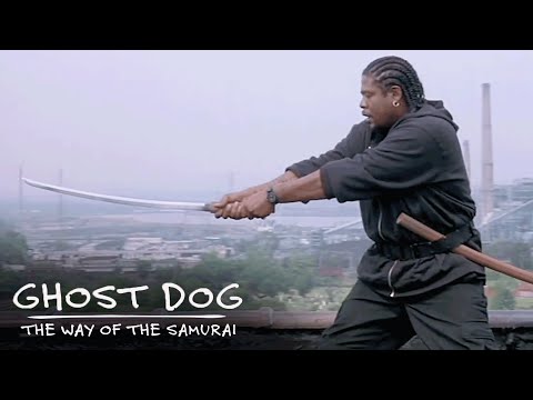 Ghost Dog Practices His Technique On The Roof