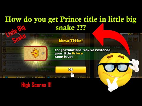 Littlebigsnake.io :) How do you get Prince title in little big snake?