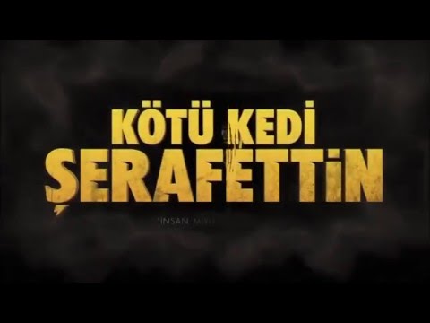 The Ayılar feat. Sansar Salvo - Kötü Kedi (Kötü Kedi Şerafettin Official Soundtrack Teaser)