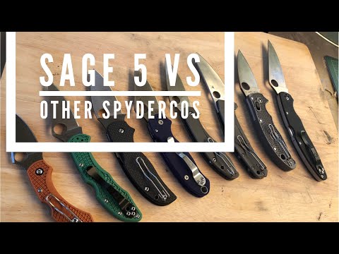 Sage 5 vs some other Spydercos