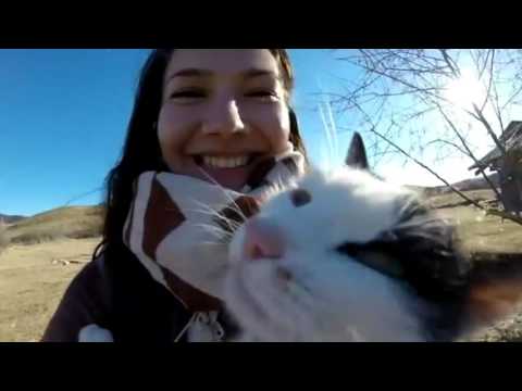 Comuna Berca - prezentare turistica  ( Visit Berca 2016 )