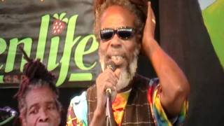 Mighty Diamonds #4 &quot;Natural Natty&quot; @ LEAF 10-22-11