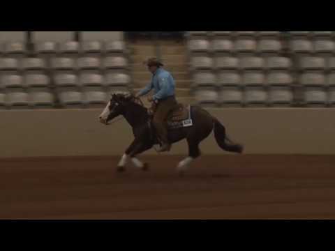 161001 Sam Schaffhauser on Smoking Tinseltown Open Derby
