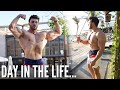 AMATEUR BODYBUILDER DAY IN THE LIFE IN DUBAI...