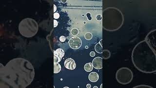 Download lagu video hujan buat status whatsapp,,,lumayan keren dah mp3