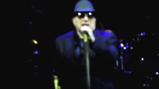 Van Morrison Live at Hollywood Bowl Wild Night/In The Afternoon/Don&#39;t You Make Me High/Raincheck