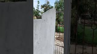 Tết quê tại thôn Đồng Minh, Vp, VL, Thanh Hoá