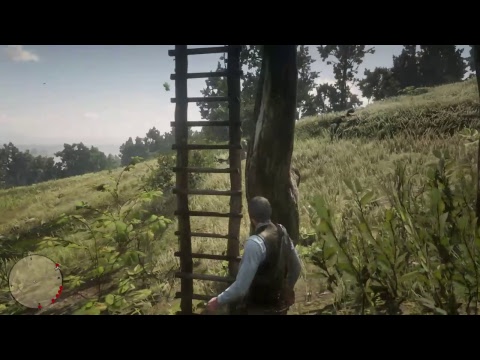 Red Dead Redemption II - Free Roam Gameplay  Pt.48 "JOHN MARSTON"