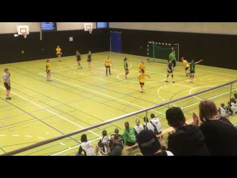 Handball-Bezirksliga Bodensee Damen