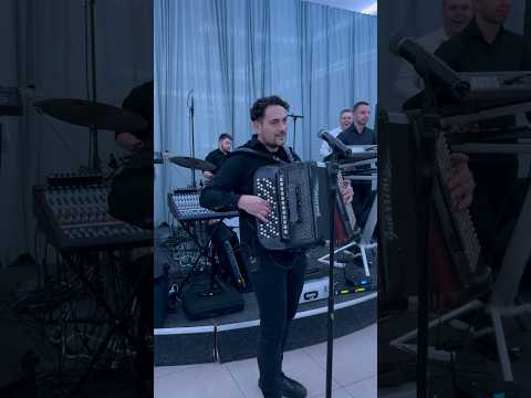 Nikola Savić x IMPULS bend 🔥🔥🔥