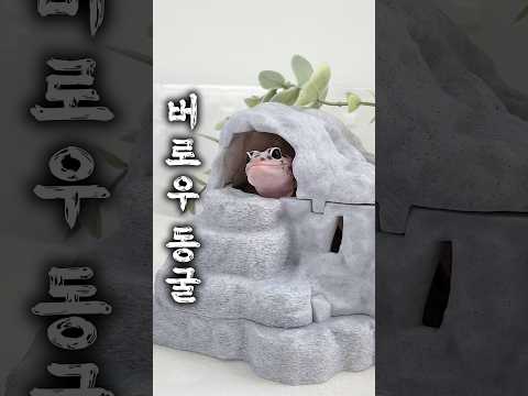이 버로우 동굴이 화제인 이유🔥 #레오파드게코 #펫테일게코 #도마뱀
