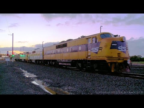 Four SSR Locomotives: 442s5, GM10, GM27 & GM22 - PoathTV Australian Trains & Railways
