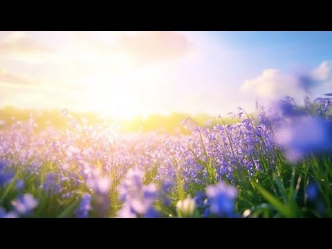 Radhus food an travels  is live!