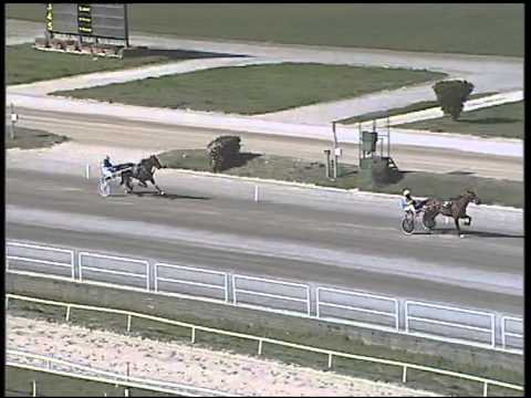 Trotto 08/03/2015 - 1° prova di riqualifica