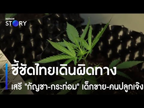 คลิกเพื่อดูคลิปวิดีโอ
