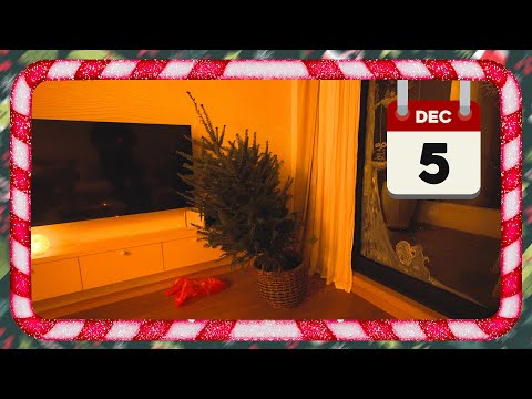 Kupili smo PRAVU NOVOGODISNJU JELKU! Vlogmas (Sezona 6) 5/31