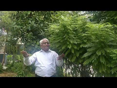 Powder agri life nitrofix - rj, packaging type: aluminium,bi...