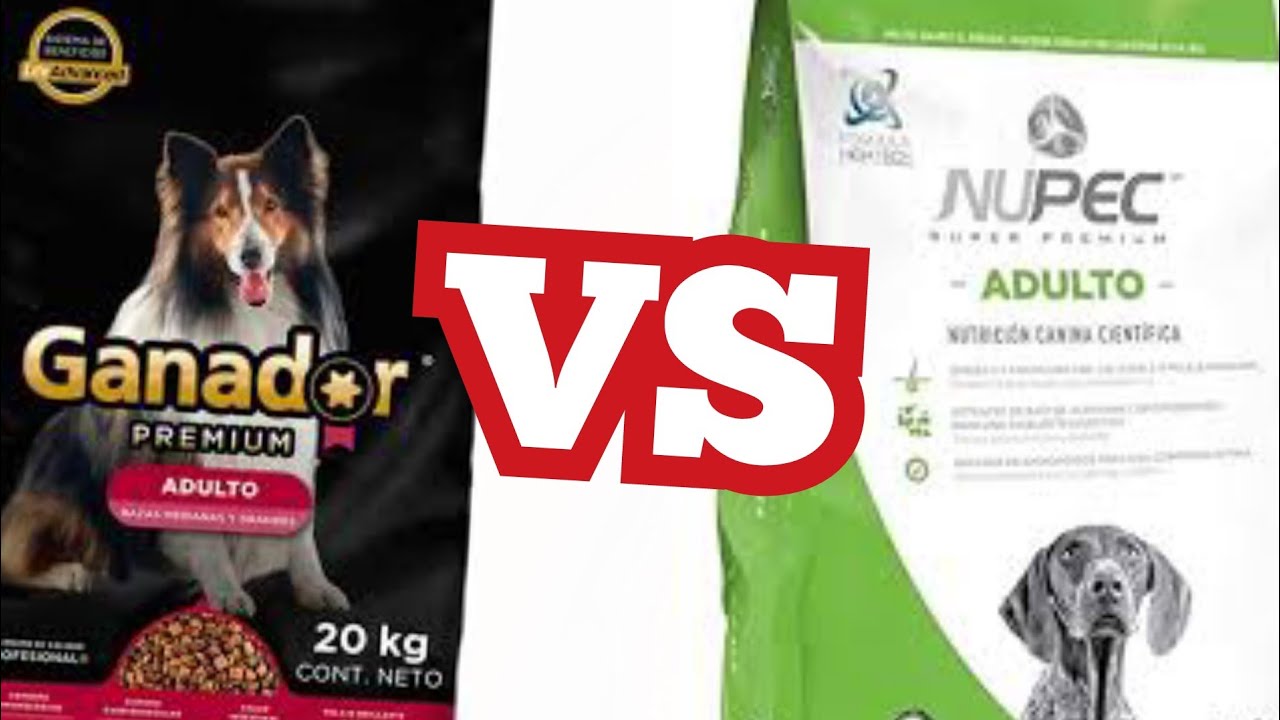 Ganador premium adulto vs nupec