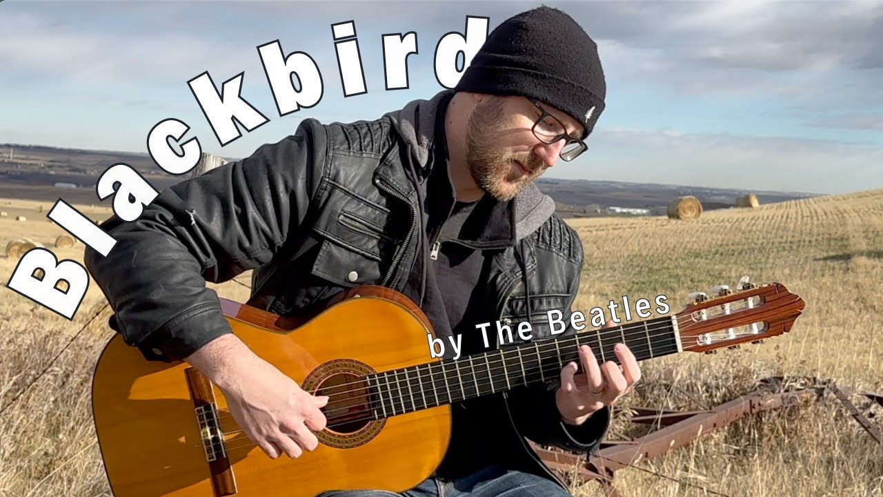 Promotional video thumbnail 5 for Ben Lahring
