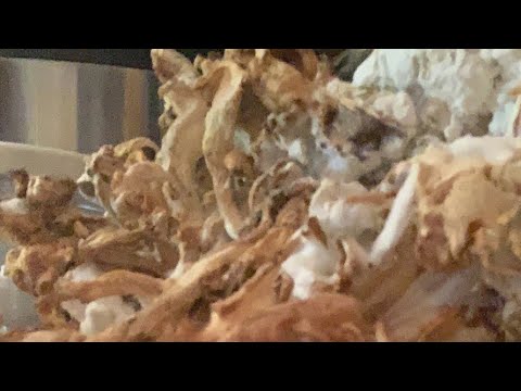 Antiviral antibacterial immunity soup