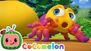 Itsy Bitsy Spider  CoComelon Nursery Rhymes & 