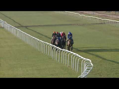 2021.11.07. 07. futam - LOVAREGYLETI DÍJ (HUN Gd-2)