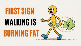 What Happens to Your Fat Cells When You Walk 30 Minutes a Day? (Science Explained)