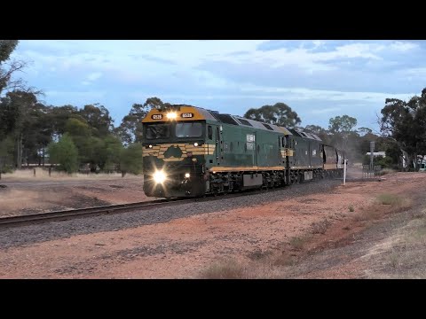 G528-543 on 9156 ex Manangatang at first light near Arnold and Llanelly.  28-11-20.