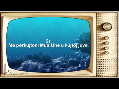 Katër premtimet e Allahut