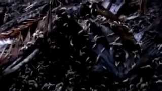 DoubleMe - ''Ignorance'' Official Music Video