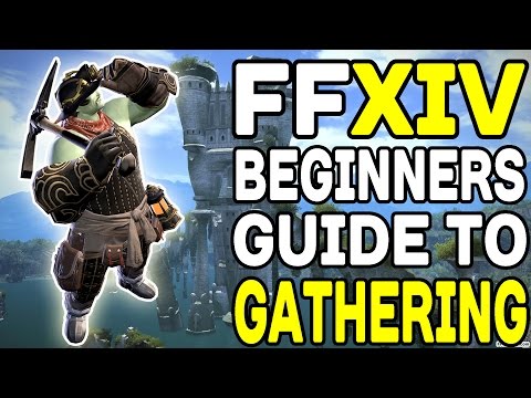 Final Fantasy XIV: A Beginners Guide to Gathering !!
