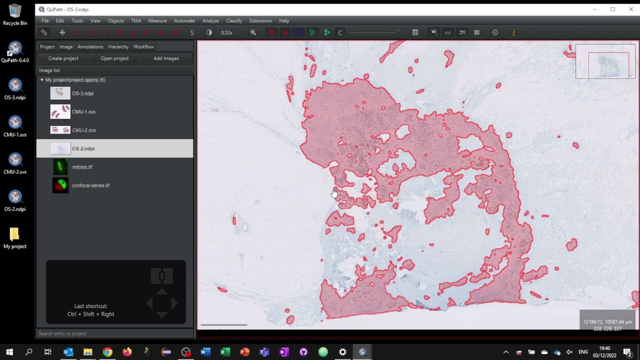 Transferring annotations between images in QuPath v0.4.0